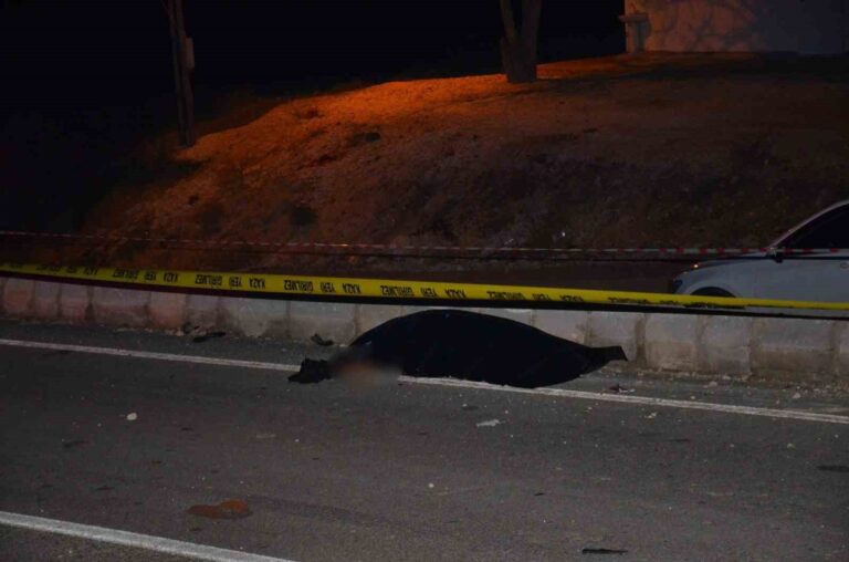 Besni’de Feci Kaza: Karşıya Geçen Yaya Can Verdi Besni'de Feci Kaza: Karşıya Geçen Yaya Can Verdi