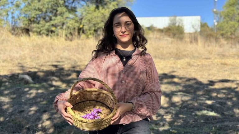 Dünyanın En Pahalı Baharatında Hasat Heyecanı Başladı
