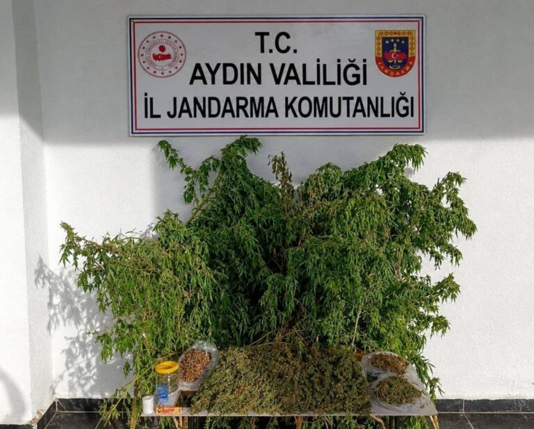 İncirliova'da Uyuşturucu Baskını: Kilolarca Esrar Yakalandı