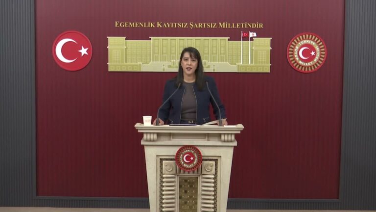 Sevda Karaca'dan Fon Krizi Tepkisi: Mesele Sadece Hırsızlık Değil