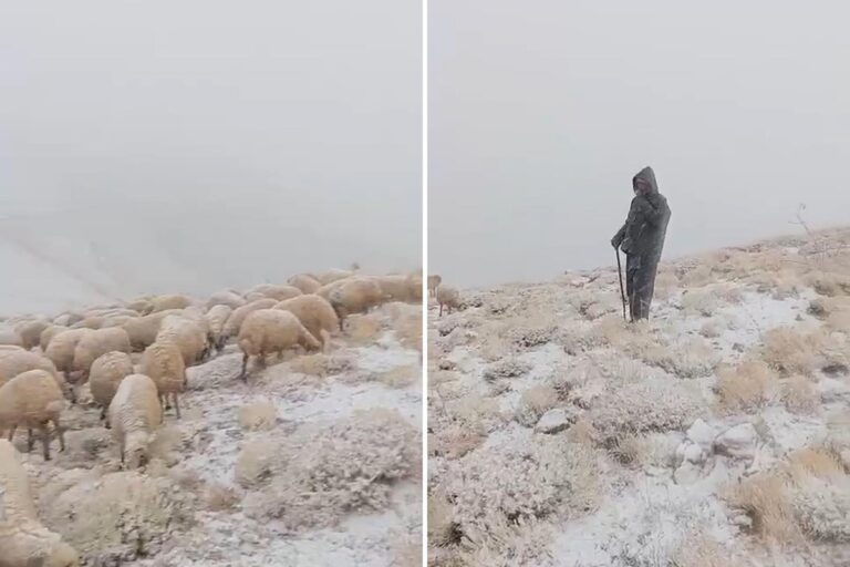 Tunceli'de Kış Sürprizi: Ovacık Beyaza Büründü