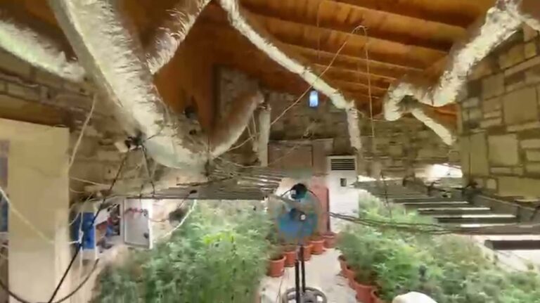 Villada Uyuşturucu Fabrikası: 300 Kök Kenevir Yakalandı
